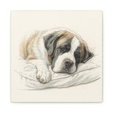 St. Bernard Sleeping Portrait Matte Canvas