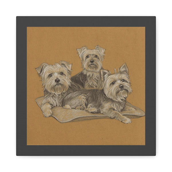 Yorkshire Terrier Trio Matte Canvas Wall Art
