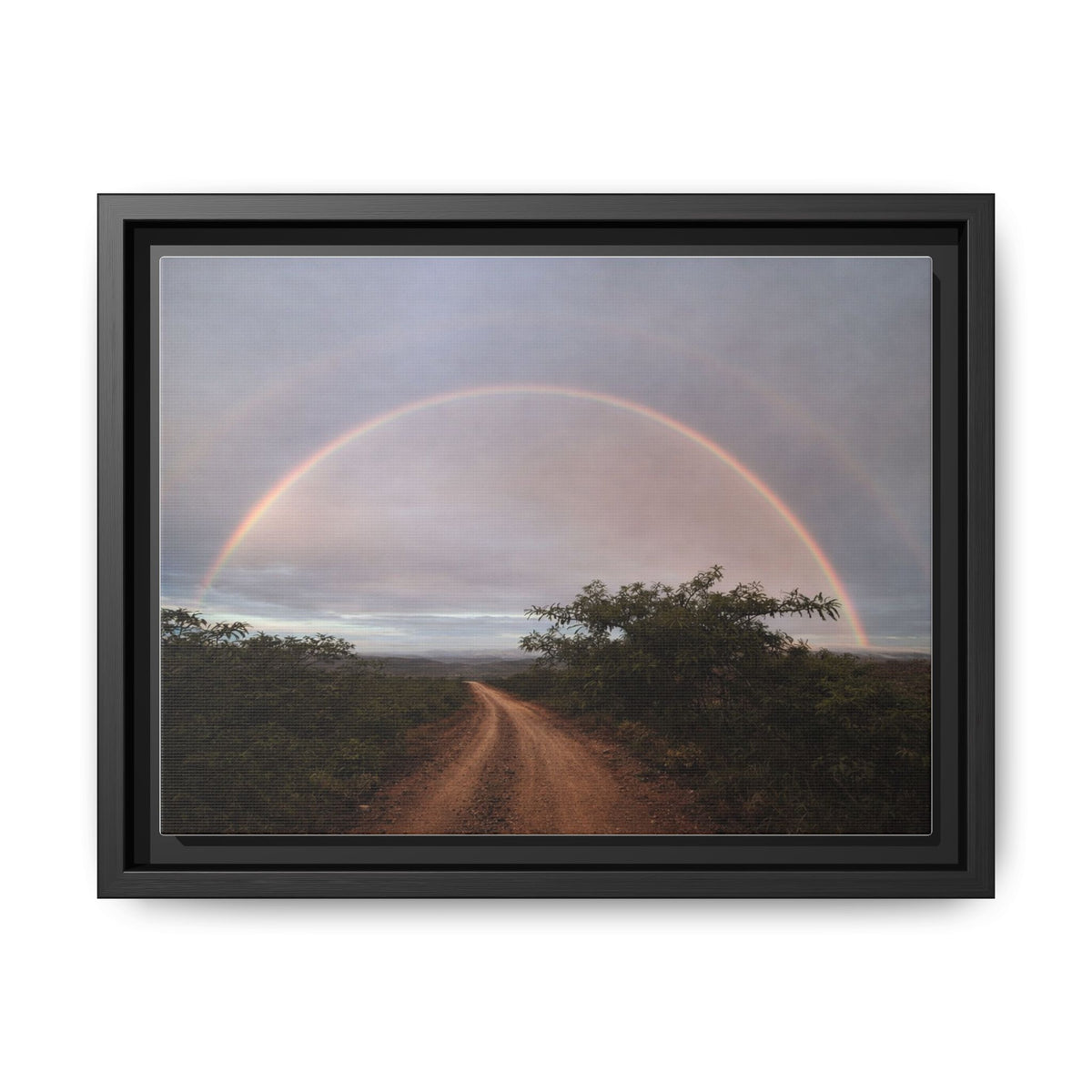 Road Beneath the Rainbow Matte Print