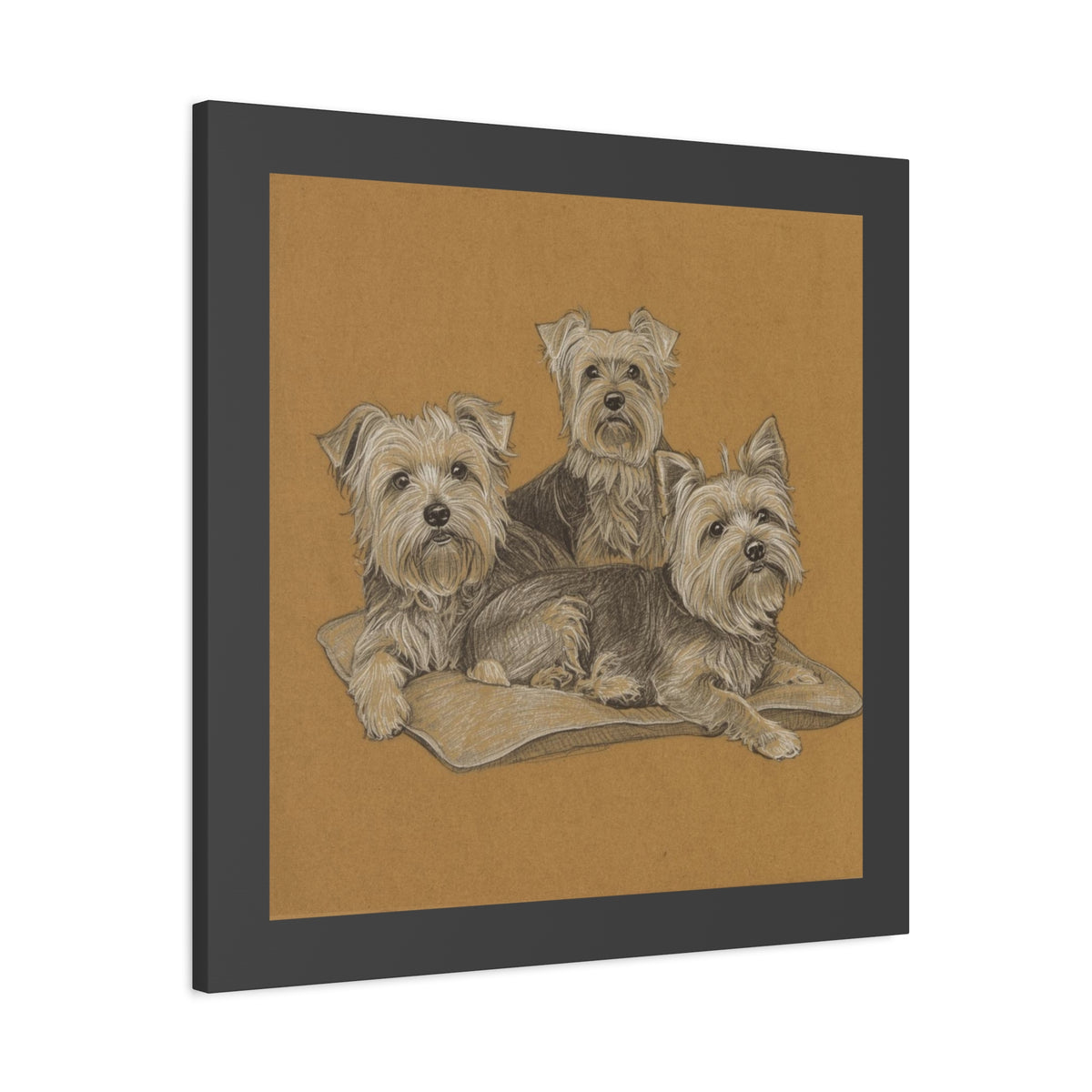Yorkshire Terrier Trio Matte Canvas Wall Art