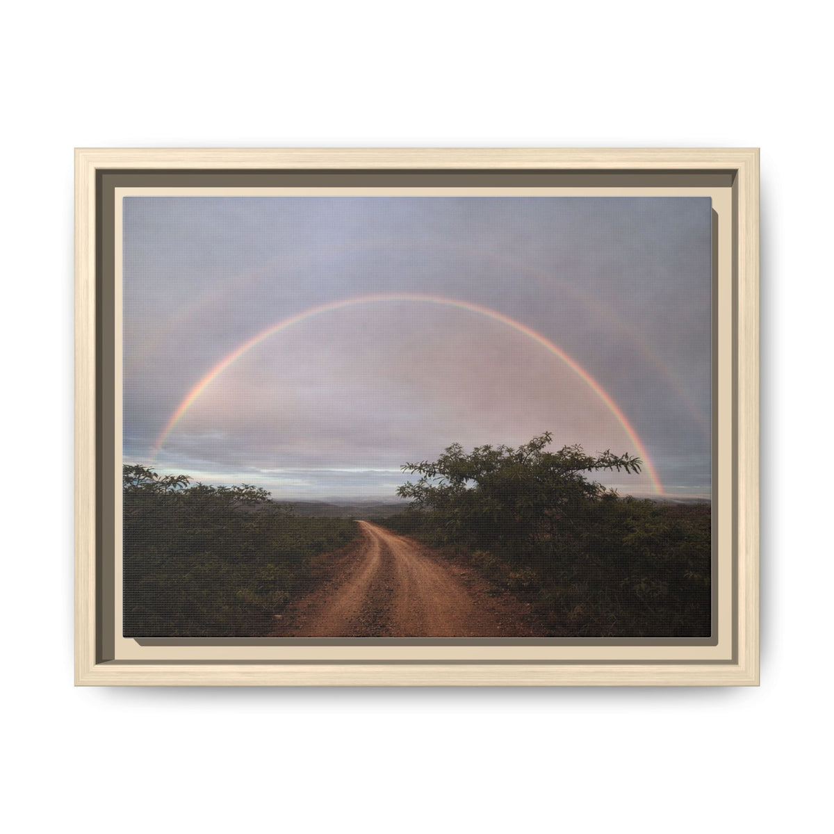 Road Beneath the Rainbow Matte Print