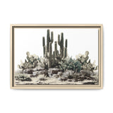 Cactus Rock Garden Canvas Print - Framed