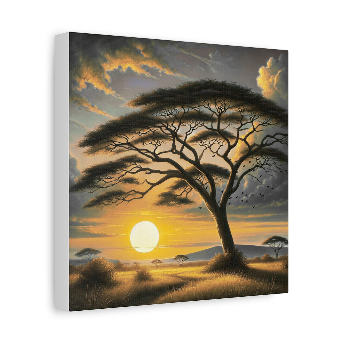 Sunset Savannah Acacia Canvas Print