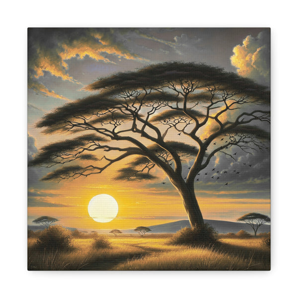 Sunset Savannah Acacia Canvas Print