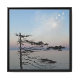 Serene Nature Wall Art