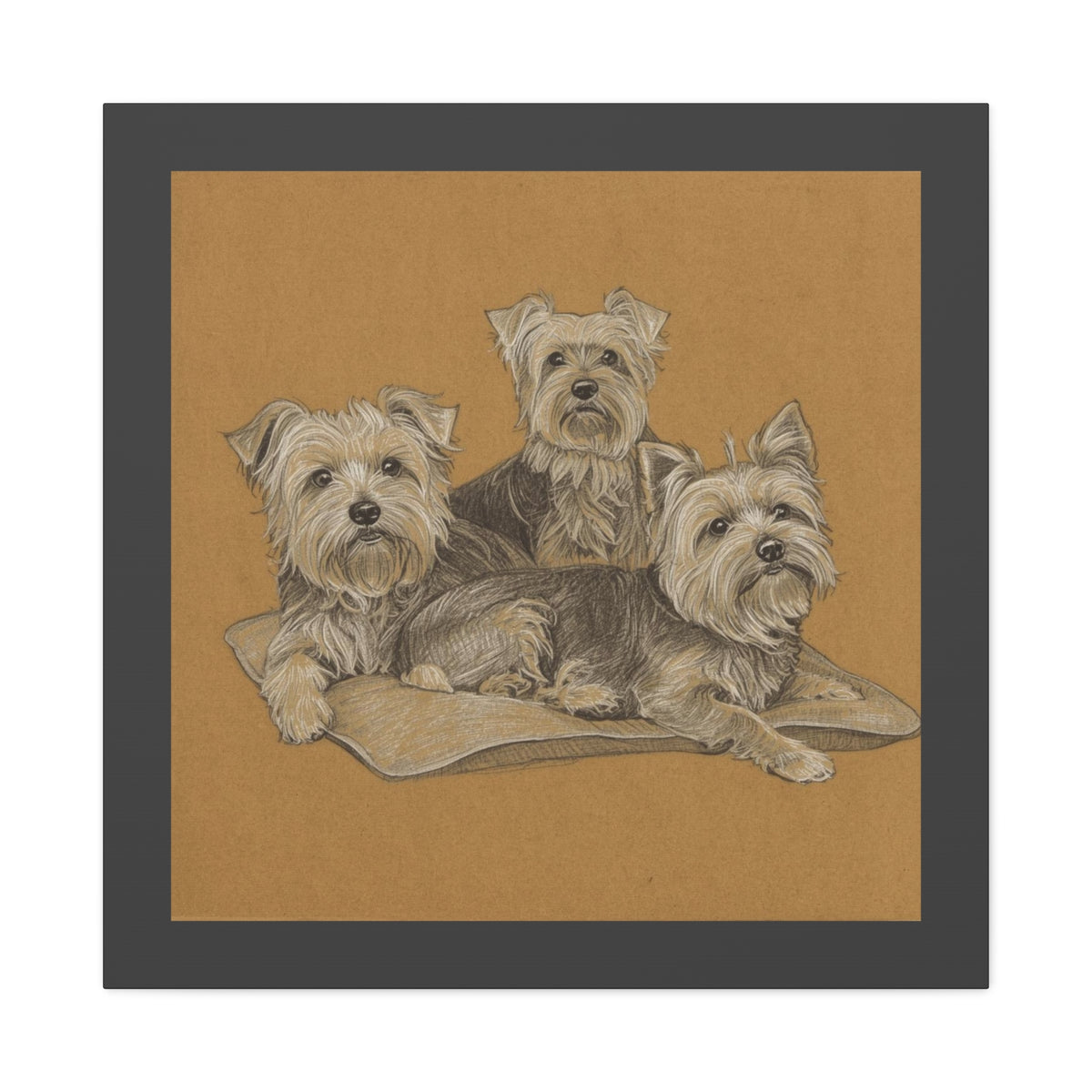 Yorkshire Terrier Trio Matte Canvas Wall Art