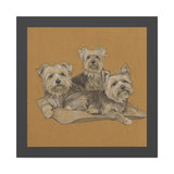 Yorkshire Terrier Trio Matte Canvas Wall Art
