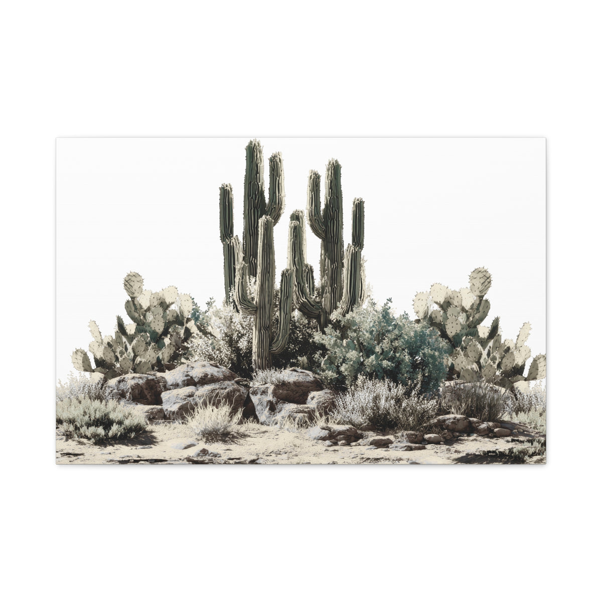 Cactus Rock Garden Matte Canvas Print