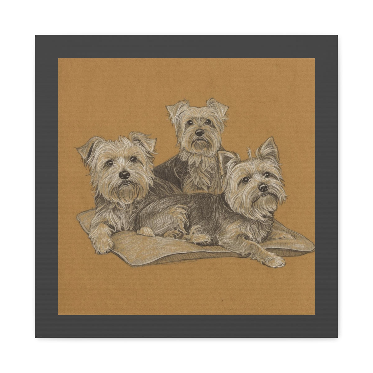 Yorkshire Terrier Trio Matte Canvas Wall Art