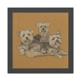 Yorkshire Terrier Trio Matte Canvas Wall Art