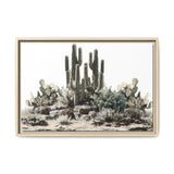 Cactus Rock Garden Canvas Print - Framed