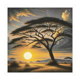 Sunset Savannah Acacia Canvas Print