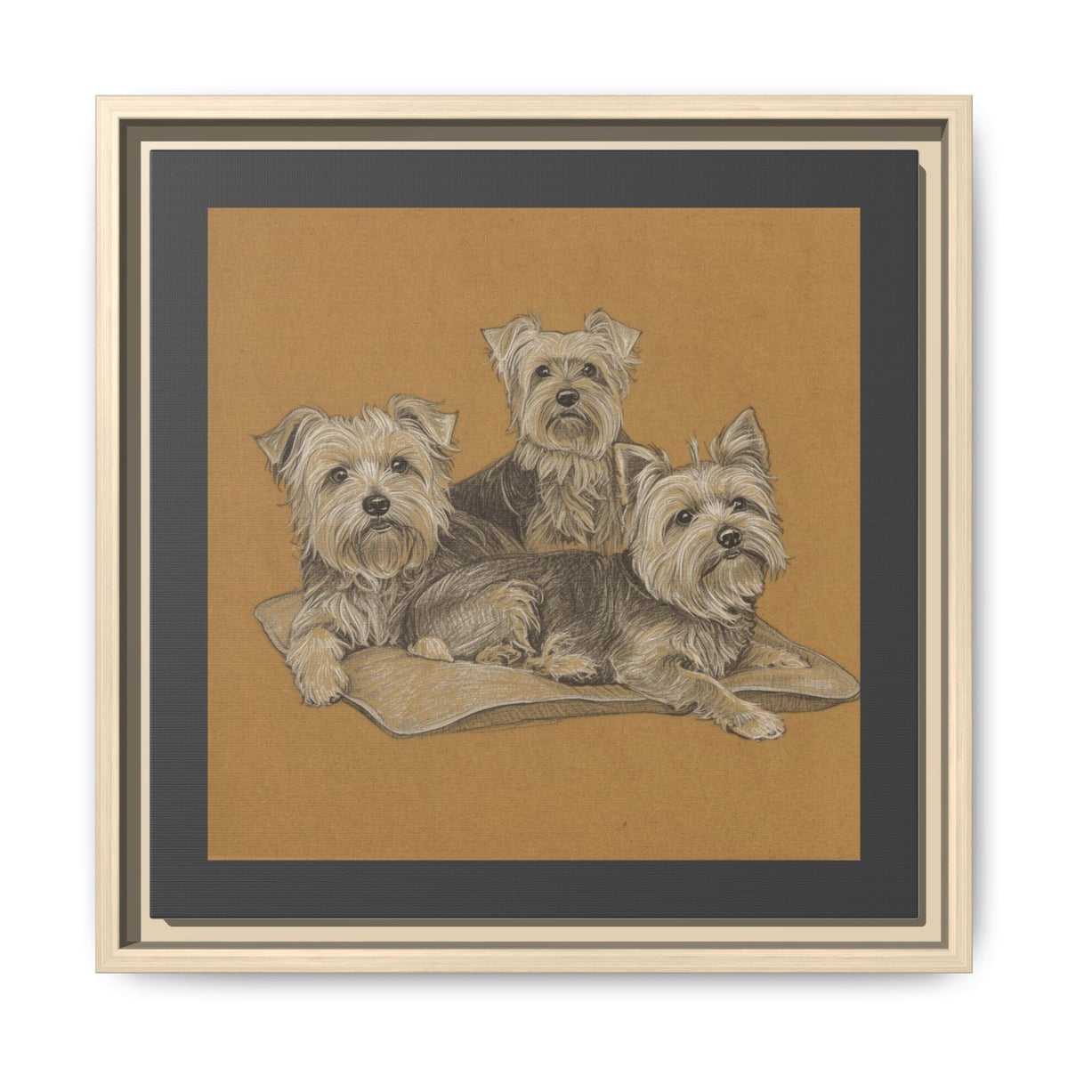Yorkshire Terrier Trio Matte Canvas Print