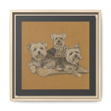 Yorkshire Terrier Trio Matte Canvas Print