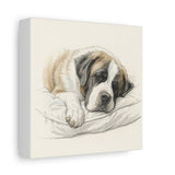 St. Bernard Sleeping Portrait Matte Canvas