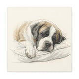 St. Bernard Sleeping Portrait Matte Canvas