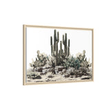 Cactus Rock Garden Canvas Print - Framed