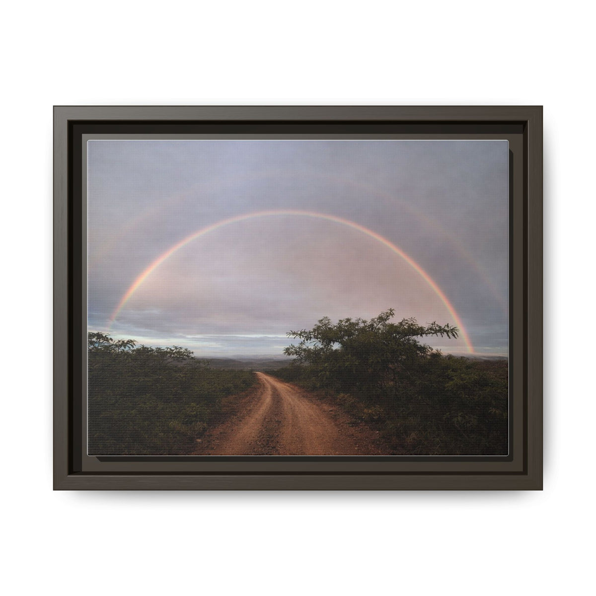 Road Beneath the Rainbow Matte Print