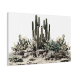 Cactus Rock Garden Matte Canvas Print