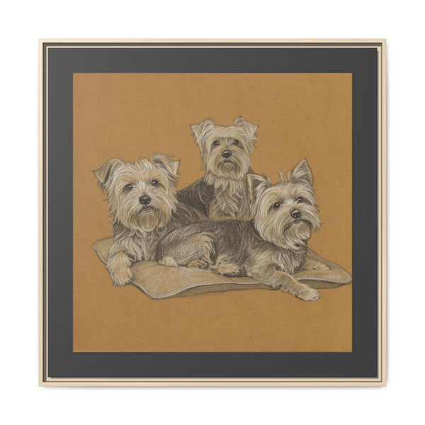Yorkshire Terrier Trio Matte Canvas Print