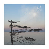Seaside Tranquility Canvas: Silhouette Pine at Sunset with Soaring Birds